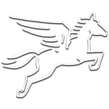 Pegasus Pro GmbH